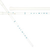 SALMING P-Series Carbon Pro F29 White/Cyan 103 cm Shaft