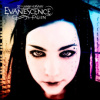 Evanescence - Fallen / 2CD [2 CD]