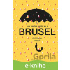 E-kniha Jak jsem potkala Brusel - Kateřina Farná