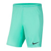 Shorts Nike Park III Knit Jr BV6865-354 (55821) Green Camo 128 cm