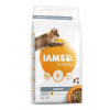 Iams Cat Adult IND Chicken 2kg