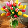 Diamantové maľovanie Gaira Tulipány D0787 (D0787)