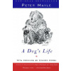 A Dog's Life