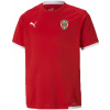 Juniosrské futbalové tričko Puma, TEAM LIGA JERSEY JR červená,biela 152