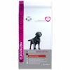 Eukanuba Labrador Retriever 12kg