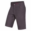 Pánske nohavice Ocún CRONOS shorts grey excalibur