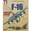 F-16 Volume 2: Fighting Falcon C F
