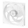 ARCTIC P14 PWM (White/Transparent) ACFAN00223A