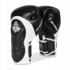 Boxerské rukavice DBX BUSHIDO BB5 10 oz