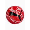 Puma Attacanto futbal 084073 11 NEPLATÍ