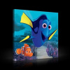 Obraz na plátne štvorec - OB2120 - Hľadá sa Nemo 80cm x 80cm - O2