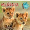 Mláďata - autor neuvedený
