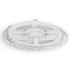 LED pásik 12V 60 LED/m 4.2W IP20 – V-TAC 3528, 3000K/4000K/6400K Typ svetla: Teplá biela 3000K