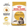 Royal Canin Maine Coon Adult - granule pre dospelé mainské mývalie mačky 2 kg