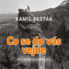 Pešťák Kamil - Co se do vás vejde / Stránský M. / MP3 [CD]