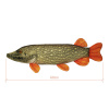 Plyšová šťuka Delphin PIKY 60 cm ( Plyšová šťuka Delphin PIKY 60 cm)
