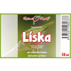 Líska - tinktura z pupenů (gemmoterapie) 50 ml - doplněk stravy