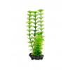Tetra Akvarijní rostlina Ambulia S 15 cm