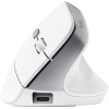 Trust Bayo II Ergonomic Wireless Mouse 25398