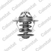 CALORSTAT by Vernet Termostat chladenia TH6248.87J