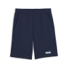 Pánske Kraťasy PUMA ESS+ 2 COL SHORTS 10