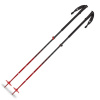Black Diamond VAPOR 2 AL SKI POLES palice