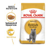 Royal Canin British Shorthair Adult - granule pre dospelé britské krátkosrsté mačky 2 kg