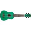 CASCHA HH 3972 EN Soprano Ukulele Bundle Green