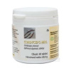 Cordyceps sinensis 90 tabliet po 500 mg sušenej huby