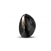 Genius Ergo 8250S 31030031400