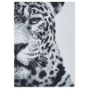 IKEA SYMFONISK Rámový panel, Jaguar, bielo-čierny
