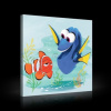Obraz na plátne štvorec - OB2119 - Hľadá sa Nemo 80cm x 80cm - O2