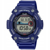 Casio pánske hodinky Casio Sport WS-1300H 2AVEF