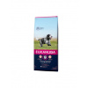 Eukanuba Senior Medium Breed Chicken 15 kg granule pre psov