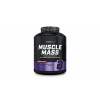 BioTech USA Muscle Mass, 4000 g, jahoda