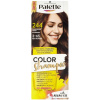 Schwarzkopf Palette Color Shampoo 244 čokoládovo hnedá