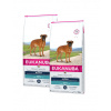 EUKANUBA Adult Breeds Specific Boxer Chicken 2 x 12 kg