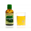 Ashwagandhá (ašvaganda - vitánie) - bylinné kapky (tinktura) 50 ml - doplněk stravy