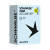 Schwalbe Duša AV19 27.5x2.00/2.35 29x1.75/2.40 (40/62-584/635) AV 40mm 220g