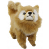 Detská plyšová hračka Hansa Creation - Pomeranian psík 23 cm uni