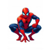 CUKROVÁ TLAČ jedlý obrázok na tortu Cukrová hmota Spider-Man Avengers 5 + MENO