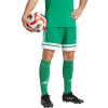 Adidas Pánské kraťasy Squadra 25 zelené JN7482 XL