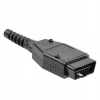 OBD 2 - samec