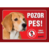 Juko Plastová tabuľa Pozor Pes Bígl 21 x 14,7 cm
