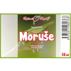 Morušovník - tinktura z pupenů (gemmoterapie) 50 ml - doplněk stravy