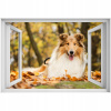Self -adhézne 3D slepka na okno Collie 90x60 (Self -adhézne 3D slepka na okno Collie 90x60)