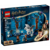Súprava LEGO Harry Potter Zakázaný les, 172 dielikov