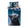 JERRY FABRICS Obliečky britská mačka Dark Cat Bavlna, 140/200, 70/90 cm