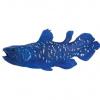Mojo Coelacanth
