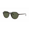Ray-Ban RB2195 THALIA 902/31